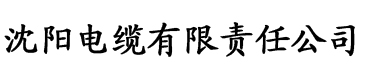 欧美大香线蕉线伊人久久电缆厂logo